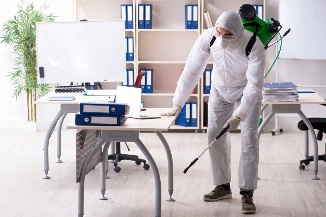 Worker spraying for bugs in office environment