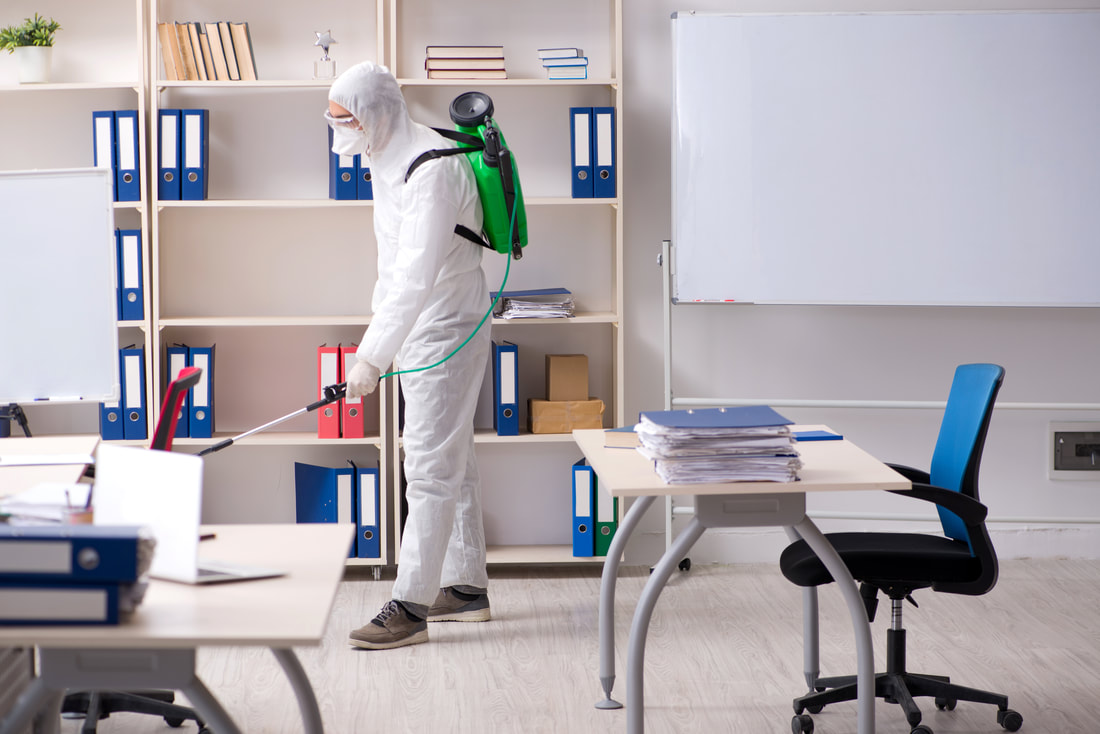 Worker spraying for bugs in office environment 2